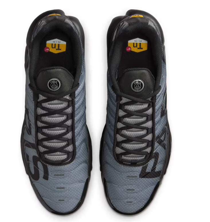 Nike Air Max TN Paris