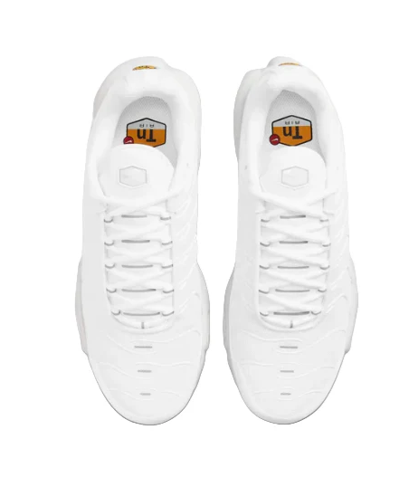 Nike Air Max TN Triple White