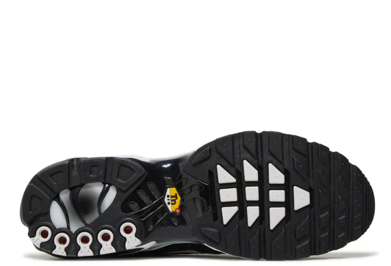 Nike Air Max TN Black Metallic Silver