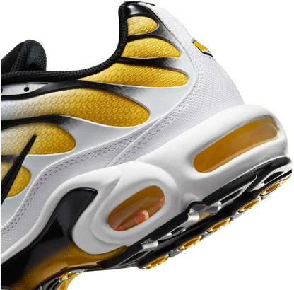 Nike Air Max TN Shoes RO