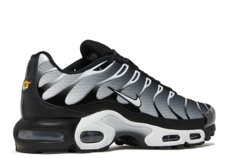 Nike Air Max TN Black Metallic Silver