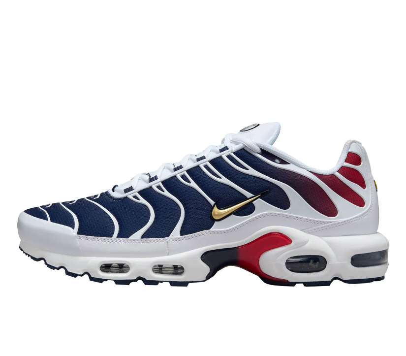 Nike Air Max TN Psg