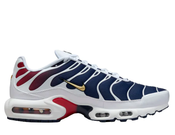 Nike Air Max TN Psg