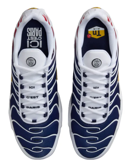 Nike Air Max TN Psg